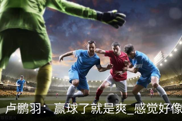 卢鹏羽：赢球了就是爽 感觉好像憋了一口气上不来 终于上来了