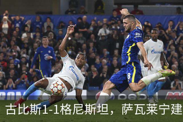 古比斯1-1格尼斯坦，萨瓦莱宁建功