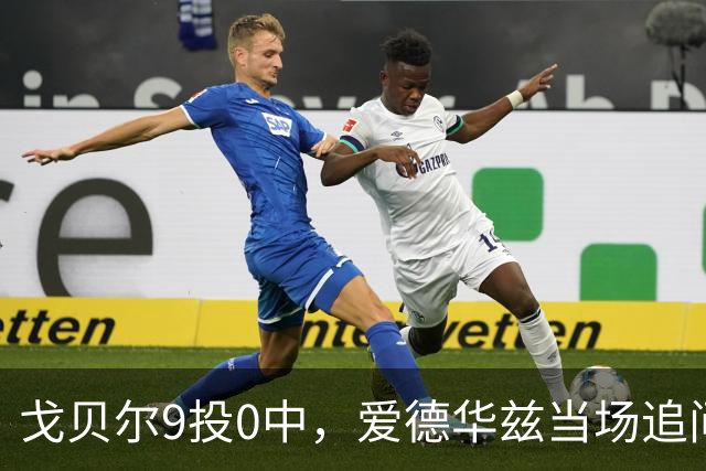 戈贝尔9投0中，爱德华兹当场追问