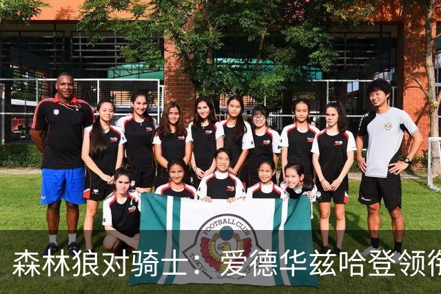 森林狼对骑士：爱德华兹哈登领衔，两队伤情成看点