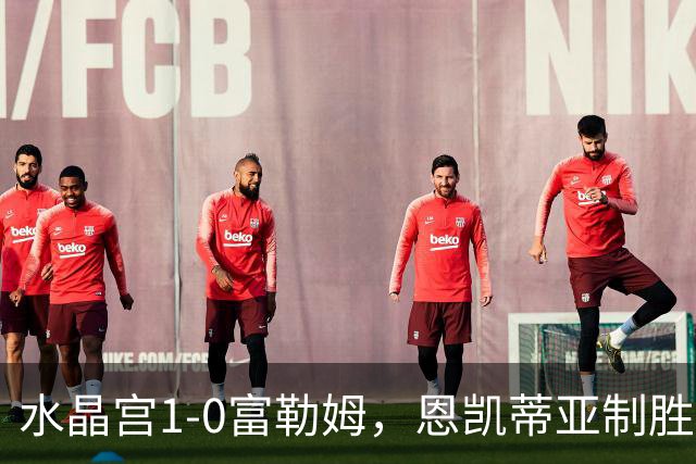 水晶宫1-0富勒姆，恩凯蒂亚制胜