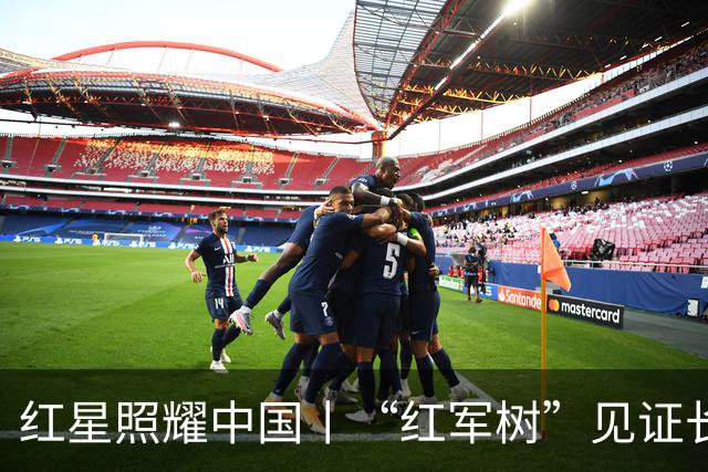 红星照耀中国丨“红军树”见证长征路