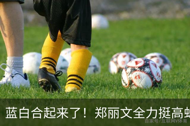 蓝白合起来了！郑丽文全力挺高虹安，国民党内部却各有各的盘算！