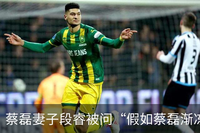 蔡磊妻子段睿被问“假如蔡磊渐冻症康复”，落泪称“不甘心”，若蔡磊康复会对他说“我好累啊，我不干了”；蔡磊确诊那年她29岁，今年37岁