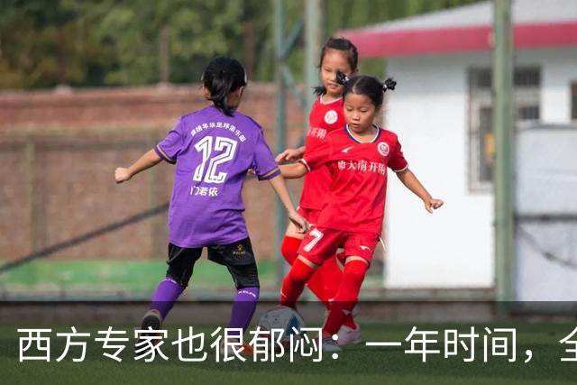 西方专家也很郁闷：一年时间，全世界已经开始看不懂中国了！