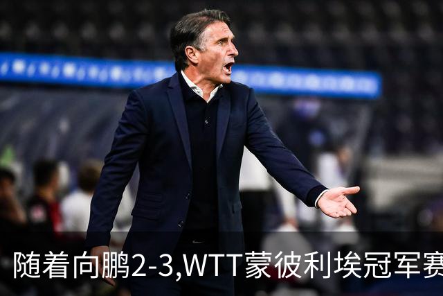 随着向鹏2-3,WTT蒙彼利埃冠军赛男单16强已出15席：仅3名国乒选手