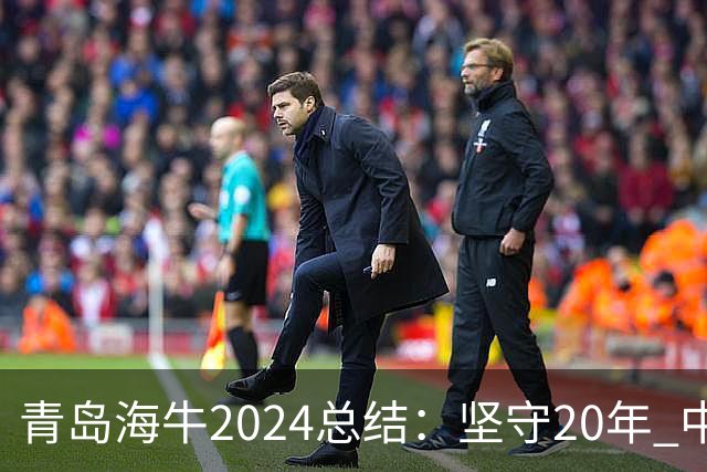青岛海牛2024总结：坚守20年 中能的拼争与困境