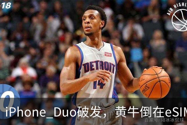 iPhone Duo破发，黄牛倒在eSIM